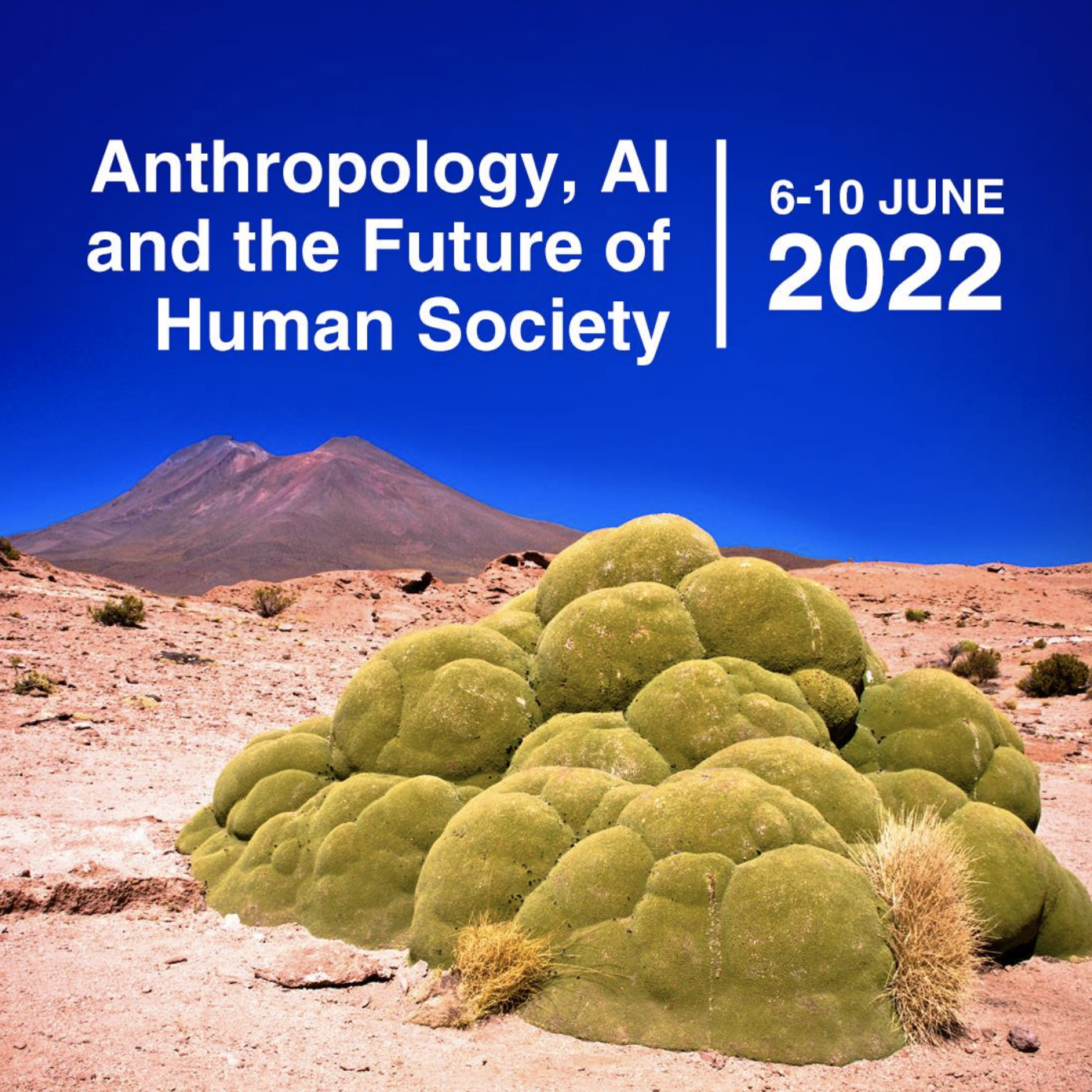 Conference “Anthropology, AI and the Future of Human Society”, Royal Anthropological Institute London